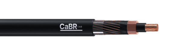 CaBRPOWER 105°C