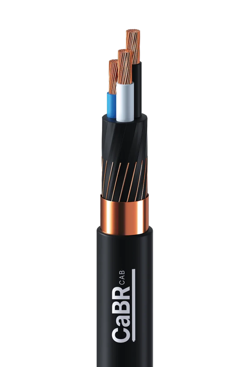 Imagem produto CaBRNAX-FREQUENCY-90°C.png - 1x